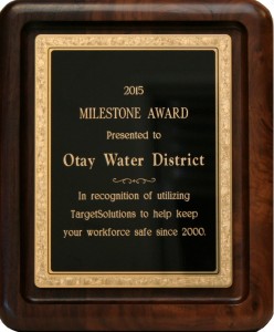 Target Solutions Award - Milestone Award 2015