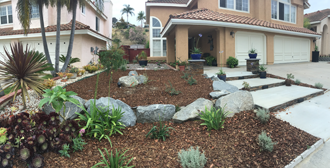 front yard landscape