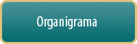 Organigrama