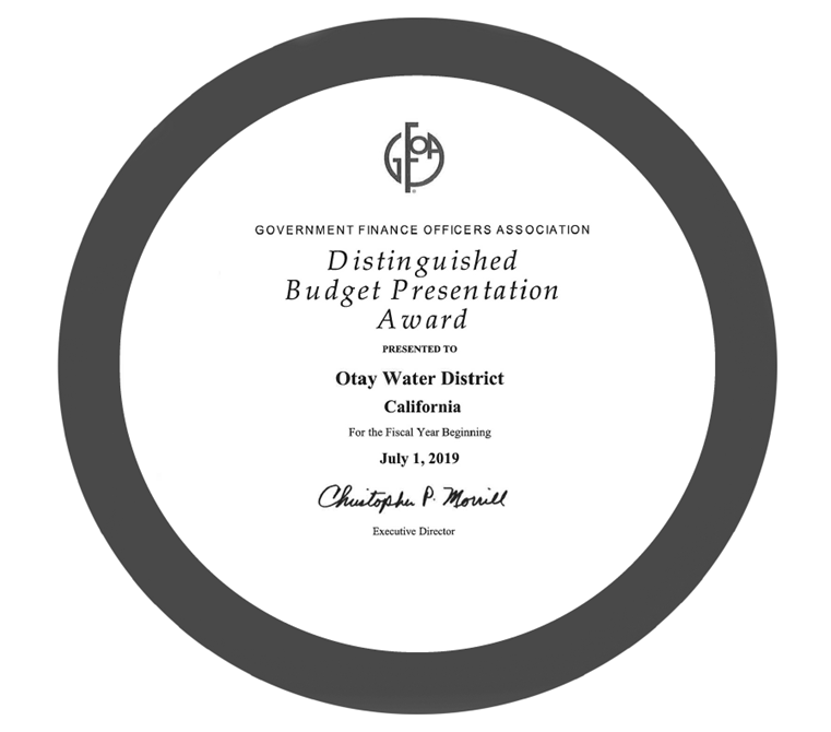 GFOA Award - Distinguished Budget Presentation Award FY 2020