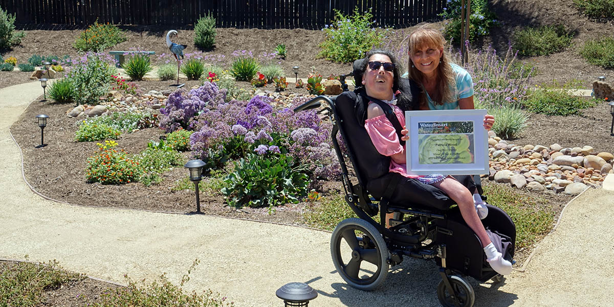 Landscape Contest Winner