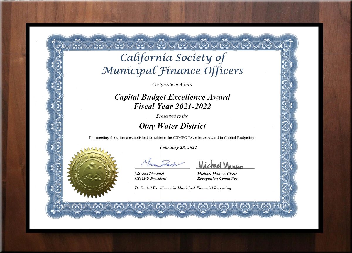 Distinguished Budget Presentation Award FY21