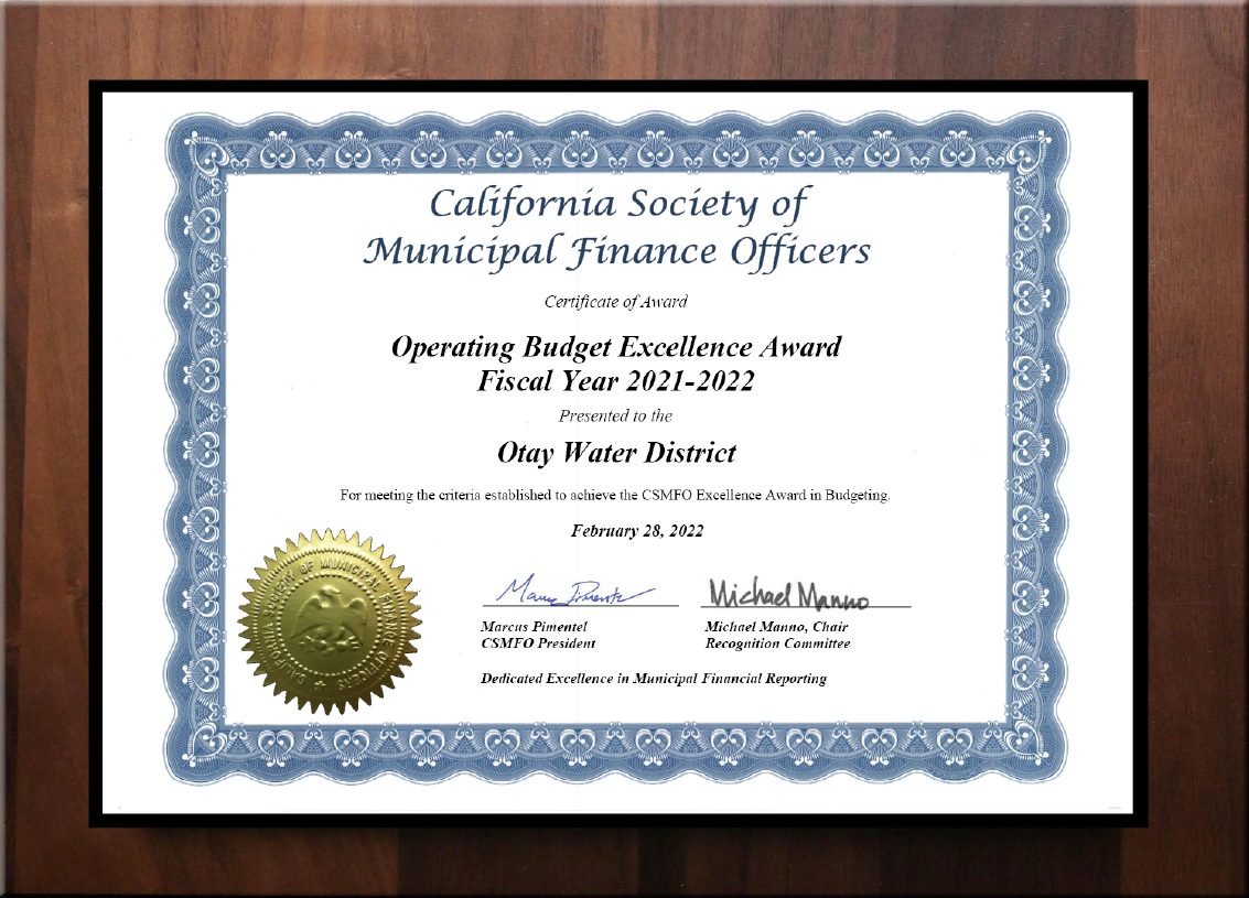 Distinguished Budget Presentation Award FY21