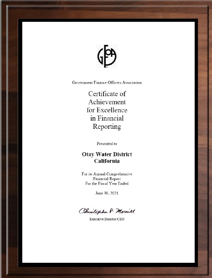 Excellence in Financial Reporting FY 2021