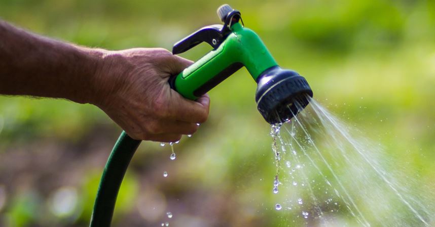 Hose nozzle watering plants