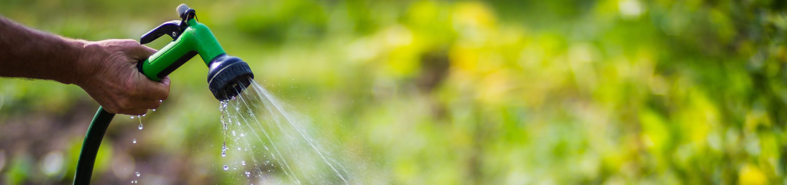 Hose nozzle watering plants