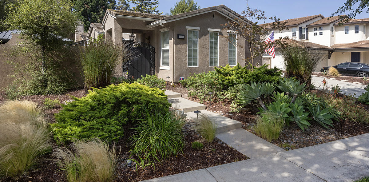 Home's front side drought-tolerant landscape