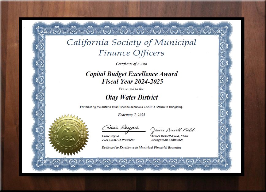 Capital Budget Excellence Award FY25