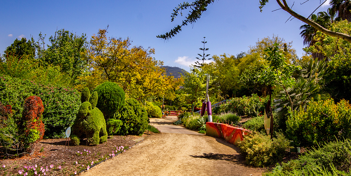 Image of the Water Conservation Garden