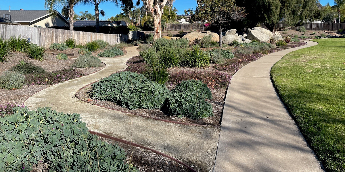 Upgraded landscape of Jamacha Park HOA